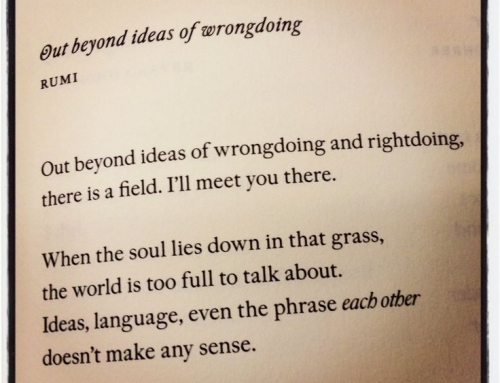 Welcome First Light of Spring… Stuff in my Face and on my Mind